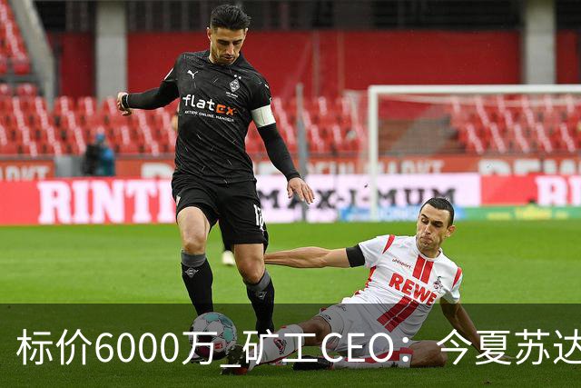标价6000万 矿工CEO：今夏苏达科夫肯定去豪门